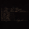 Telefon Tel Aviv - Dreams Are Not Enough - Vinyl Record