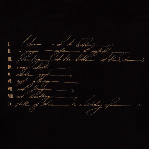 Telefon Tel Aviv - Dreams Are Not Enough - Vinyl Record