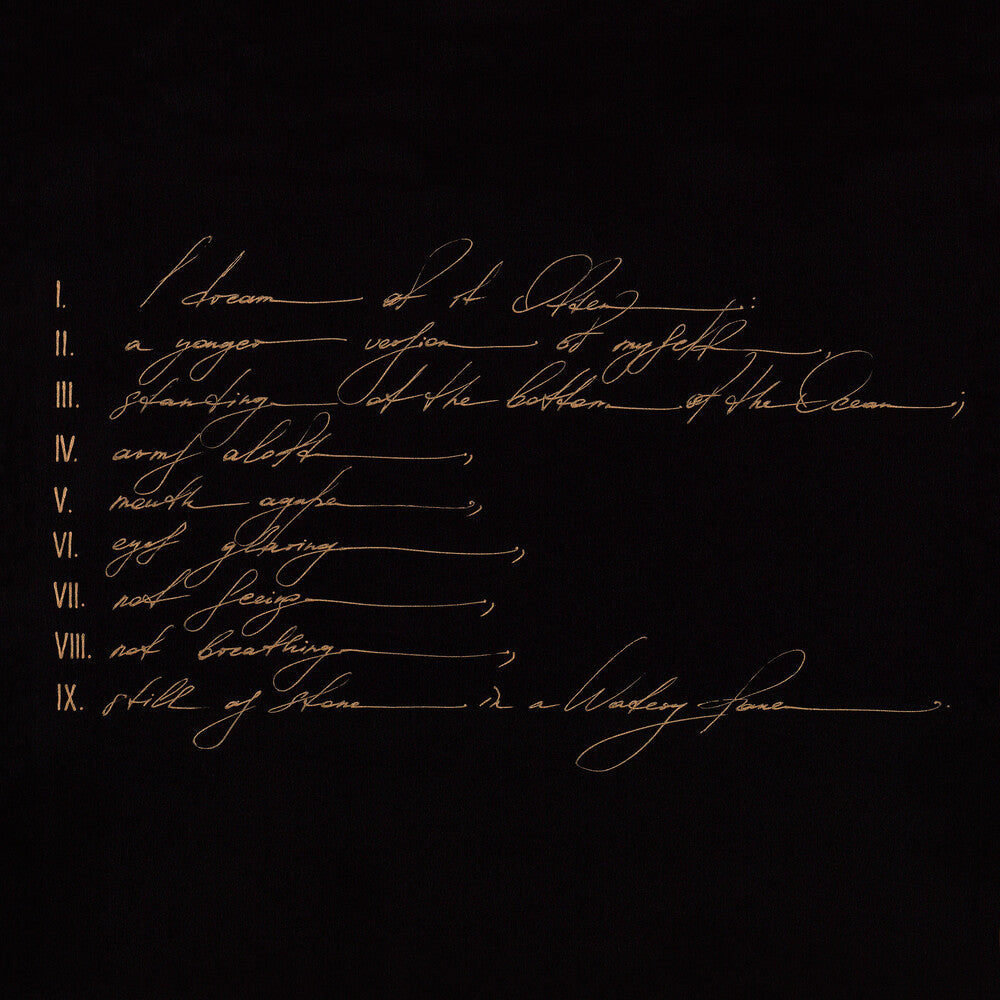 Dreams Are Not Enough [LP] Vinyl Record