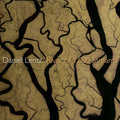 Lentz / Ray - River Of 1000 Streams - Music CD