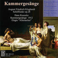Koessler / Hirzel / Borbely - Chamber Music - Music CD
