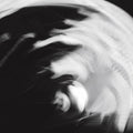 Psychic Health - Exclusion - Vinyl Record