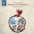 Sky Is Cloudy / Various - Sky Is Cloudy / Various - Music CD