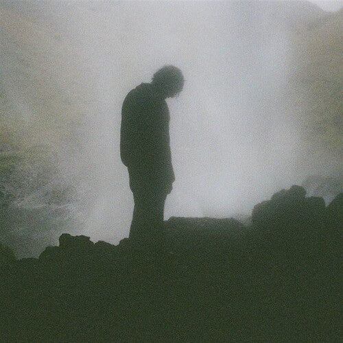 Palmistry - Afterlife - Vinyl Record