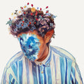 Johnson,hobo - Fall Of Hobo Johnson - Vinyl Record