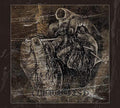 Suicide Forest - Suicide Forest