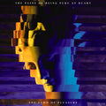 Pains Of Being Pure At Heart - The Echo Of Pleasure - Vinyl Record