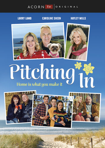 Pitching In Dvd - Pitching In Dvd - DVD