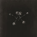 Nowhere Now [LP] Vinyl Record