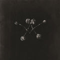 Waterstrider - Nowhere Now - Music CD