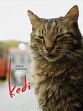 Kedi - Kedi - DVD