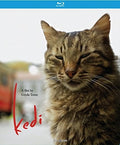 Kedi - Kedi - Blu-ray