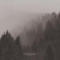 An Autumn For Crippled Children - Withered Dreams: Singles 2013 - 2017 - Vinyl Record
