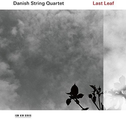 Danish String Quartet - Last Leaf - Music CD