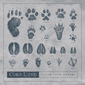 Lund,corb - Cover Your Tracks - Music CD