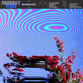 Friendly Fires - Inflorescent - Vinyl Record