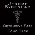 Sydenham,jerome - Echo Back - Vinyl Record