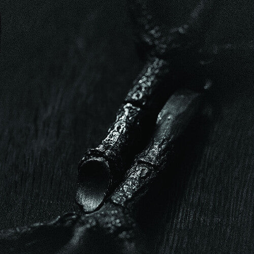 Trepaneringsritualen - Algir Eller Algir I Merkstave - Music CD