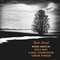 Angelini,bruno - Open Land - Music CD