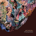 Mitchell,matt - Pouting Grimace - Music CD