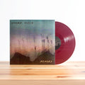 Vivian Girls - Memory - Vinyl Record