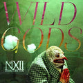 Number Twelve Looks Like You - Wild Gods - Music CD