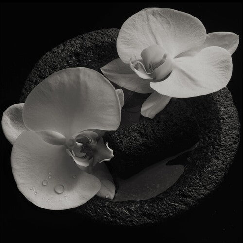 Patton,mike / Vannier,jean-claude - Corpse Flower - Music CD