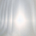 Craig,roger - Instantanes - Vinyl Record