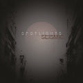 Spotlights - Seismic - Vinyl Record