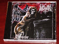Lie In Ruins - Demise - Music CD