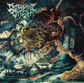 Disfigurement Of Flesh - Shrine Of Immortals - Music CD