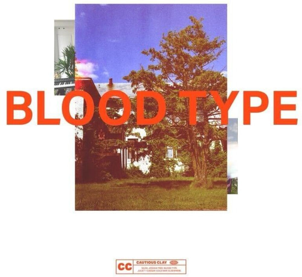 Blood Type [Transparent Blood Red 12inch EP] [45 RPM] Vinyl Record
