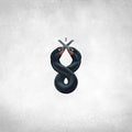 San Fermin - Cormorant I - Vinyl Record