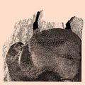 Svarte Greiner - Knive - Vinyl Record