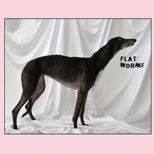 Flat Worms - Flat Worms - Vinyl Record