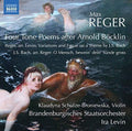Reger / Schulze-broniewska / Levin - Orchestral Works - Music CD