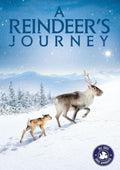 Reindeer's Journey, A - Reindeer's Journey, A - DVD