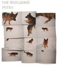 The Building - PETRA [LP]