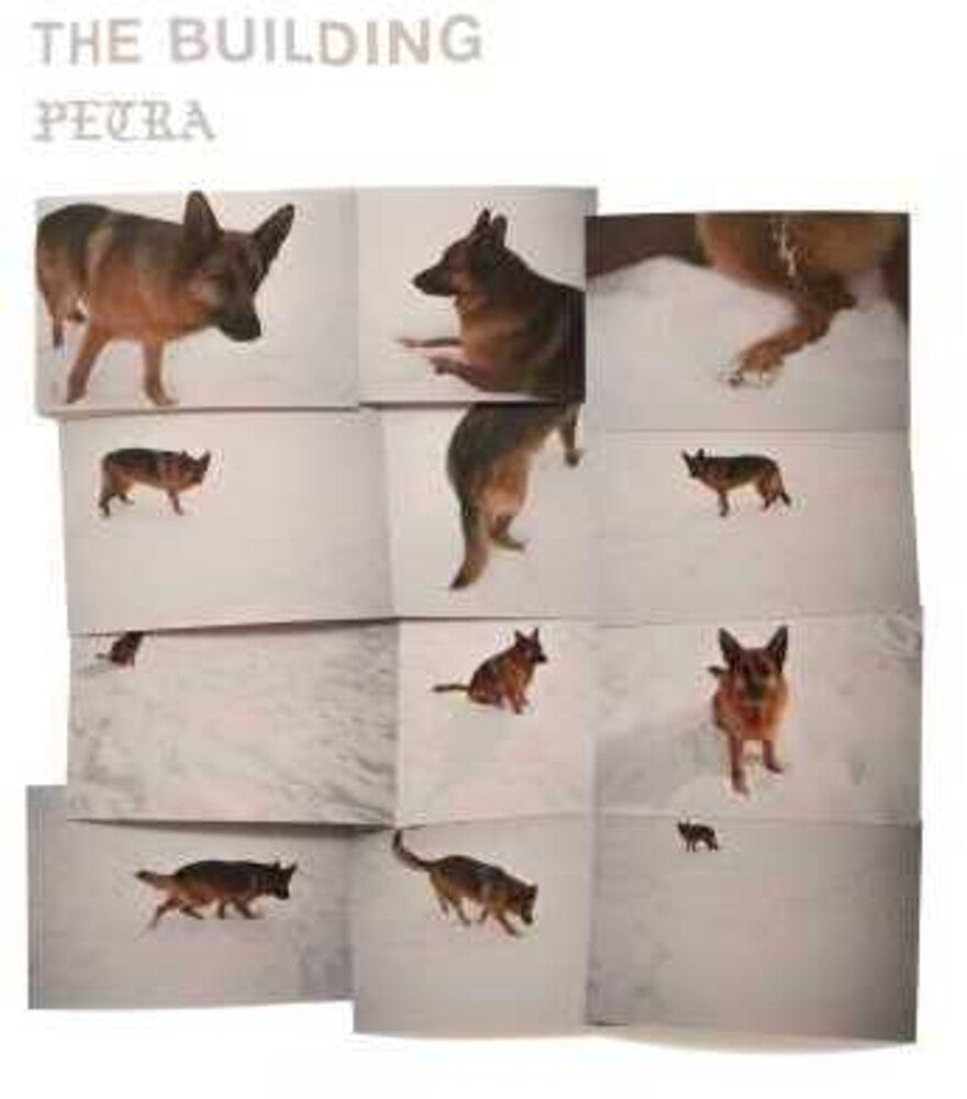 The Building - PETRA [LP]