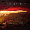 Finzer,sherry /clipman,will - Space Between Breaths - Music CD