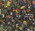 Winterbourne - Echo Of Youth - Music CD