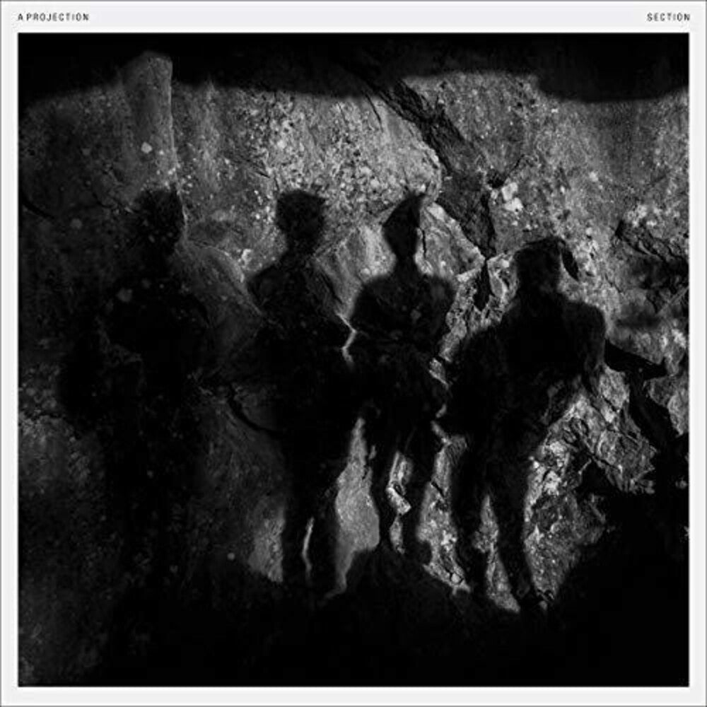 Section [LP] Vinyl Record