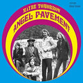 Angel Pavement - Maybe Tomorrow - Music CD