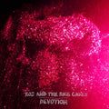 Roz & Rice Cakes - Devotion - Music CD
