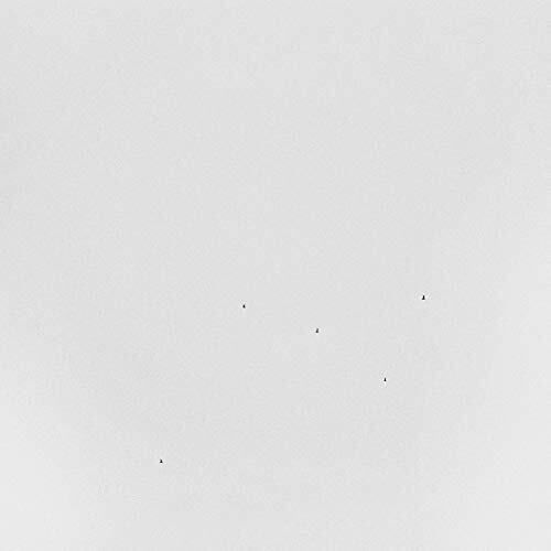 Anderson-kunert,todd - Conjectures - Vinyl Record