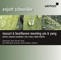 Schneider / Koch / Gaudenz - Meeting Yin & Yang - Music CD