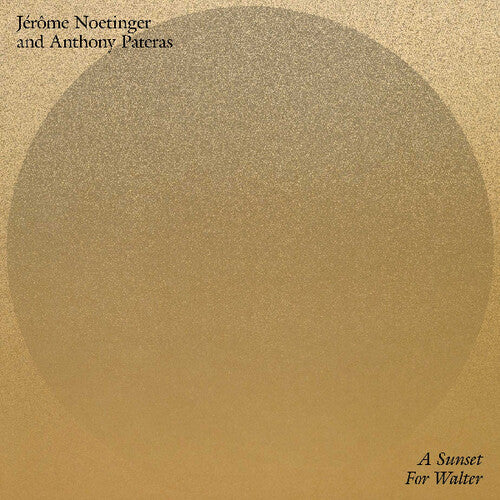 Noetinger,jerome & Pateras,anthony - Sunset For Walter - Vinyl Record