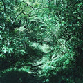 Ironomi - Kotonoha - Music CD