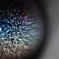 Emptyset - Blossoms - Vinyl Record