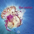 Blue Intuition / Various - Blue Intuition / Various - Music CD